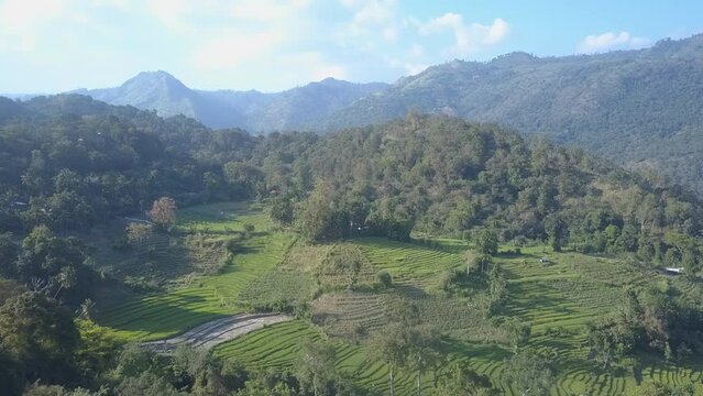 Stepped rice terraces against giant forestry mountains on sunny day in Ella. Wild nature with vegetation and agriculture in Sri Lanka aerial view