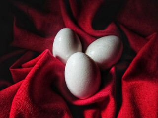 egg in red background