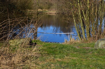 Landschaft im Frühling am Fluss Vissel in der Stadt Visselhövede, Niedersachsen