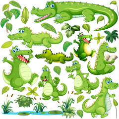 Green crocodile in different actions