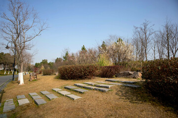 footpath in the park
