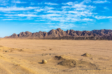 Fototapeta na wymiar Sahara desert in Egypt