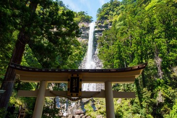 世界遺産那智の滝の風景写真