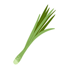 Vector illustration of green fresh onion in cartoon flat style. Fresh vegetable, healthy vegan food