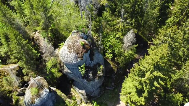 Shot of a forest in the Bavarian mountains - drone is flying in birds eye view flying over conifers and rocks. Snippet could ideally be used for hiking or travel related videos or Germany movies.