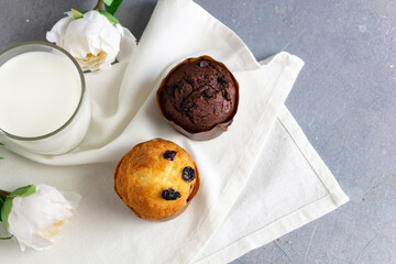 Muffins with raisin, chocolate and glass of milk decorated with white flowers. Top view.