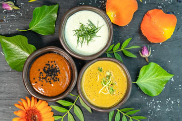 Colorful selection of fresh healthy organic salad dressing sauces