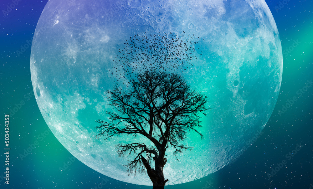 Poster Silhouette of birds flying over lone tree with aurora against super moon 