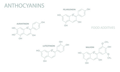 Anthocyanins molecular skeletal chemical formula.