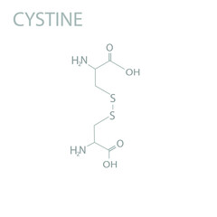 Cystine molecular skeletal chemical formula.