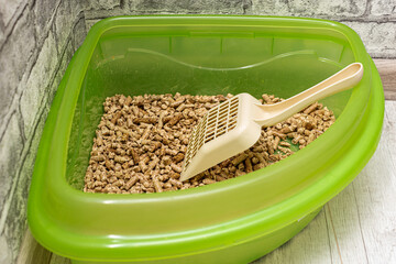  cat tray with filler in which there is a spatula