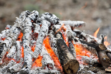 Close up of burning coals in a campfire make by tourists for cooking, the cause of forest fires