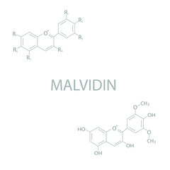 Malvidin molecular skeletal chemical formula.