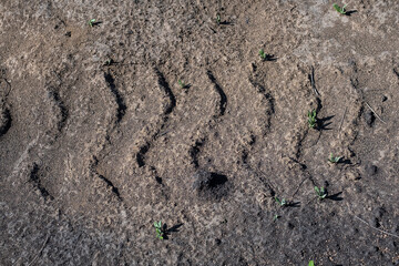 Tire tracks protector on dirt. Wheel's trail tread, close up.