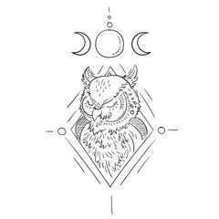 Mystic owl illustration with moon phases. Vector owl sketch. Aesthetic owl art. 