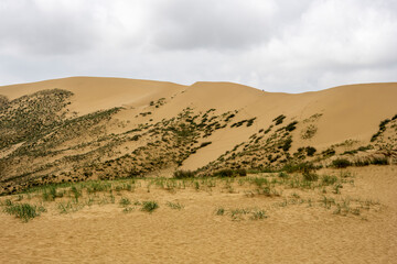 the highest sand dune in Europe - in the south of Dagestan