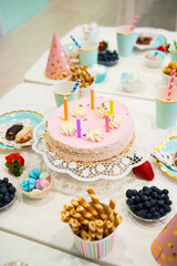 Cake, Candy, Marshmallows, Fruits and Berries, Chocolates, Waffles and other Sweets on Dessert Table at Kids Birthday Party