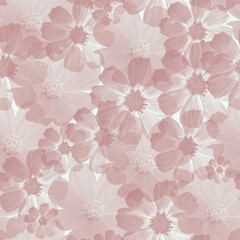 Cosmos brown blooming pastel pink color flowers seamless pattern 