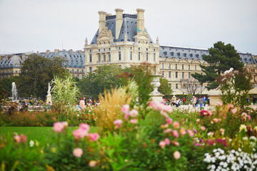 Fototapeta na wymiar Beautiful fall day in Tuileries garden, Paris