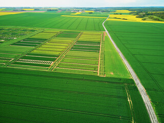Aerial drone view of green and yellow fields in Ile-de-France, France