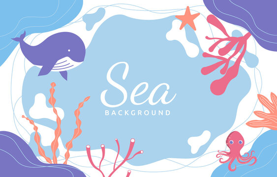 Ocean Underwater Animal Wildlife Sea Beach Liquid Background