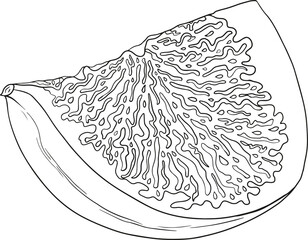 Vector figs. Fruit product for juice or jam label, packaging sticker, grocery shop tag, farm store and coloring pages. Fresh cartoon fig isolated on white background. 