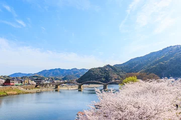 Photo sur Plexiglas Le pont Kintai 桜と錦帯橋　山口県岩国市　Sakura and Kintaikyo Bridge. Yamaguchi-ken Iwakuni city. 