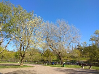 Basauri, el parque de los patos. Vizcaya. Espa&ntilde;a.