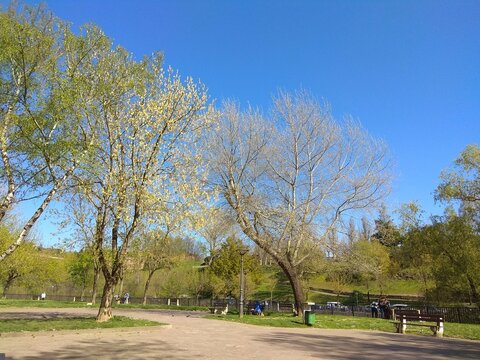 Basauri, el parque de los patos. Vizcaya. Espa&ntilde;a.