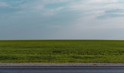 Asphalt Outdoor Road Among the Green Meadow Field. Side View. Straight Horizon Line. Blue Sky on Background.