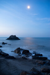 Obraz premium 月夜の赤羽根海岸 愛知県