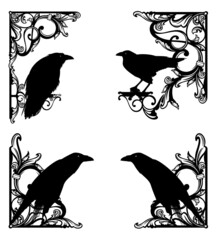 antique style calligraphic ornament forming copy space frame with raven birds -  black and white vector decorative background design with page border and corners for witchcraft and sorcery concept