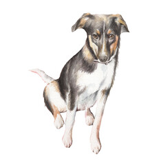 Watercolor illustration with dog.  Hand drawn.