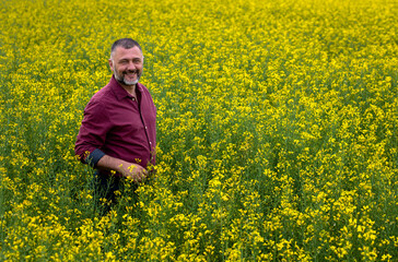 Portrait of smiling middle age farmer standing in rapeseed field examining crop.