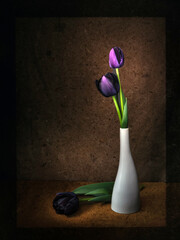 Dark purple, black tulips in vase. Antique style dark still life.
