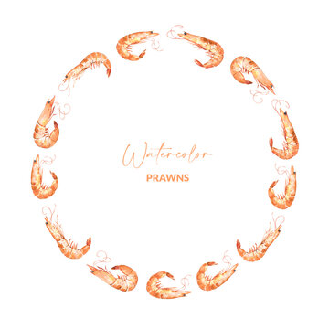Round border with watercolor illustrated prawns