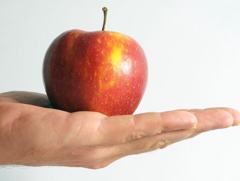 Apple on the Hand