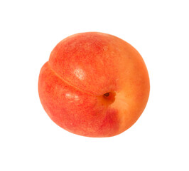 One apricot close-up isolated on a white background.