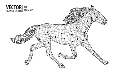 A thoroughbred sport trotter. The horse is trotting. Equestrian sport. Vector illustration
