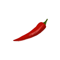 Red hot pepper illustration isolated on white background