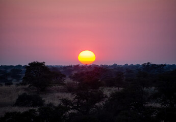 Kalahari Sunrise