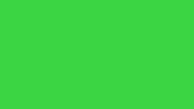 Pack of dogs running by on a Green Screen, Chroma Key.