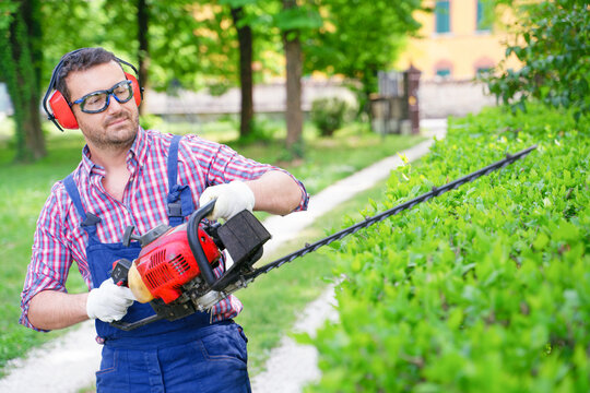 One gardener shaping hedge using hedge trimmer