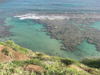 Obraz premium Hanauma Bay at the Oahu island Hawaii, beautiful emerald ocean view, year 2011 summer 