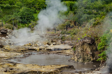 Active geyser fumaroles with sulfur smoke and boiling puddle in geothermal zone in Furnas, São...