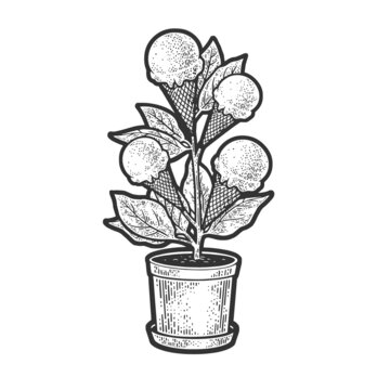 ice cream plant sketch engraving raster illustration. T-shirt apparel print design. Scratch board imitation. Black and white hand drawn image.