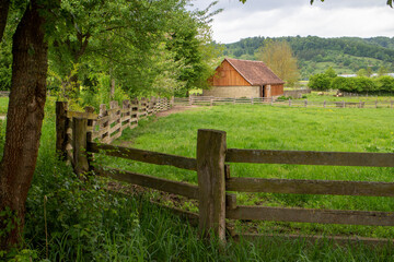 Old barn with sheep and an old wooden fence around the pasture