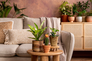 Stylish composition of creative spacious living room interior with plants, sofa, coffee table,...