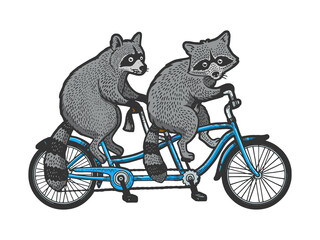 raccoons ride tandem bike color sketch engraving raster illustration. T-shirt apparel print design. Scratch board imitation. Black and white hand drawn image.