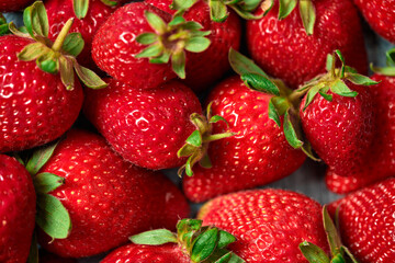 lots of strawberries, freshly picked red fruits in season.